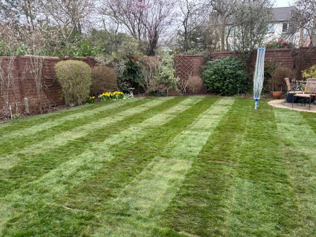 new lawn harpenden, hertfordshire new lawn harpenden, hertfordshire
