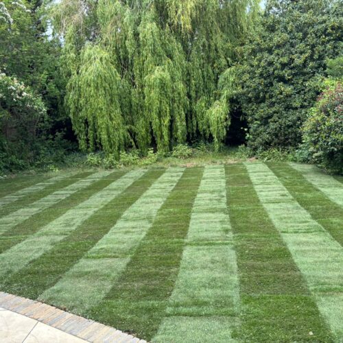 new turf laid gainsborough road st albans